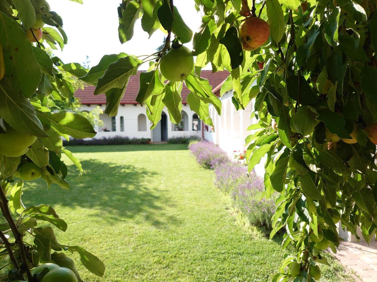 Bakta Haz Otel Egerbakta Dış mekan fotoğraf